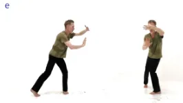 Dao Yin Yang Sheng Gong Général&nbsp; Qi Gong style Onirika, Dao Yin Yang Sheng Gong Générales, Zhang Guang De, Pierre Lallemand 